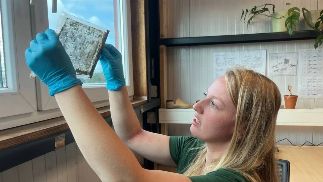 Eeuw oude glasnegatieven gevonden in waterput Loppersum: 'Een schatvondst'