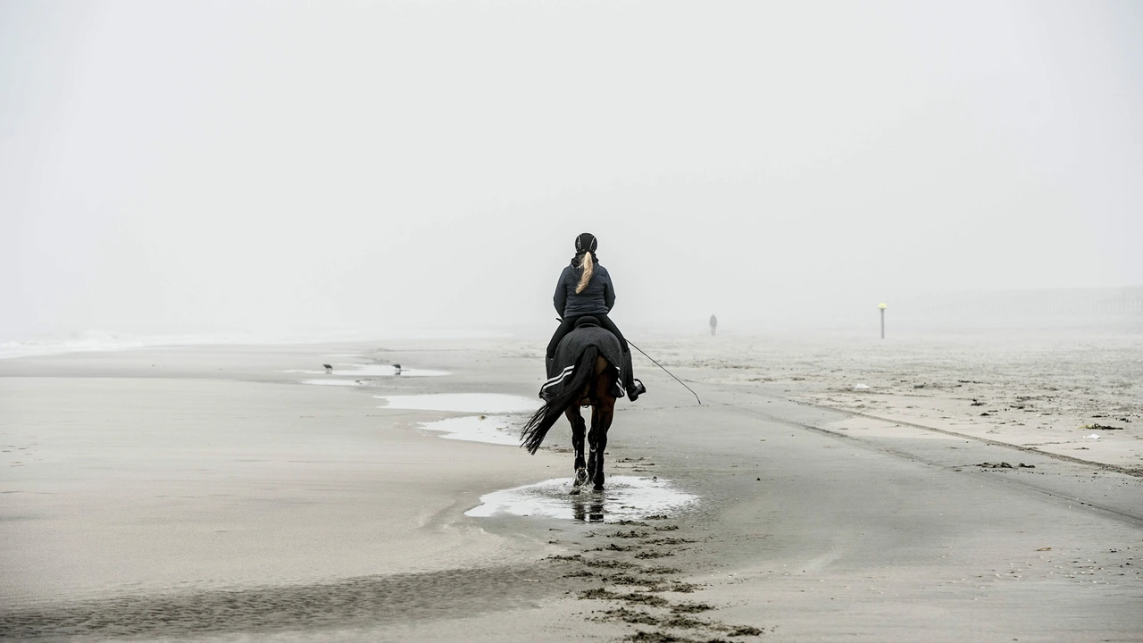 Nederland heeft een nieuw Nationaal Park: Hollandse Duinen