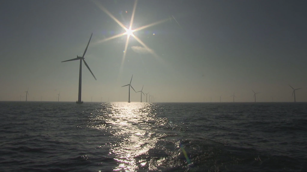 KNMI: Noordzee was niet eerder zo warm