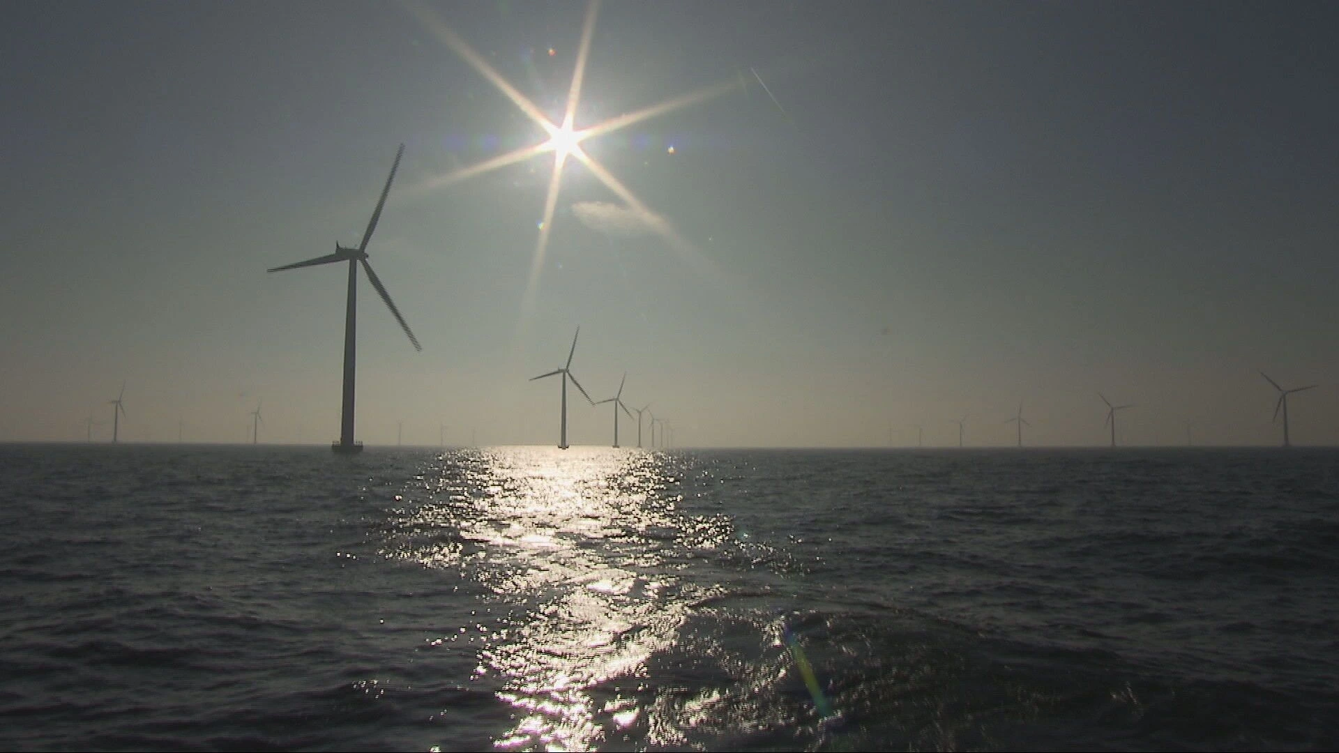 Noordzee in meer dan 40 jaar niet zo warm