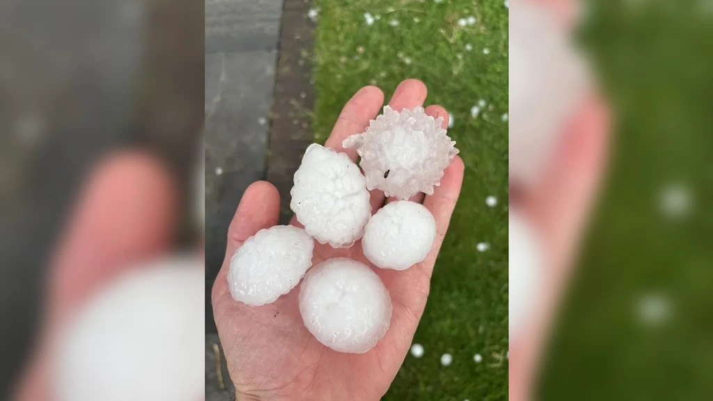 Foto: Noodweer in België: hagelstenen zo groot als pingpongballen