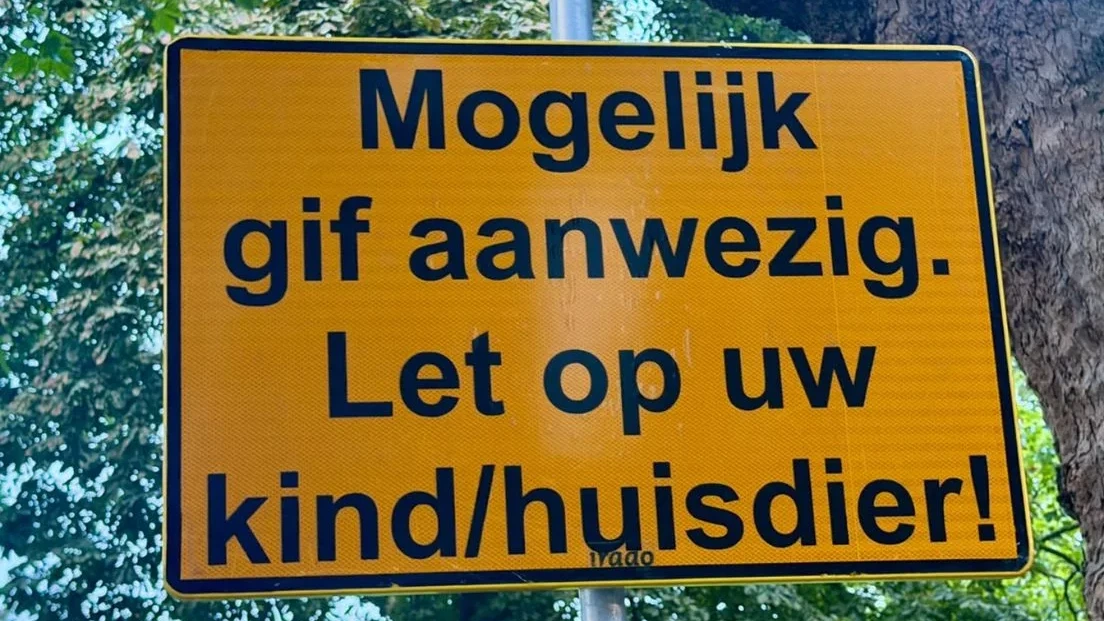 Four Dogs Die in Schiedam Park: Police Investigate Unidentified Substance