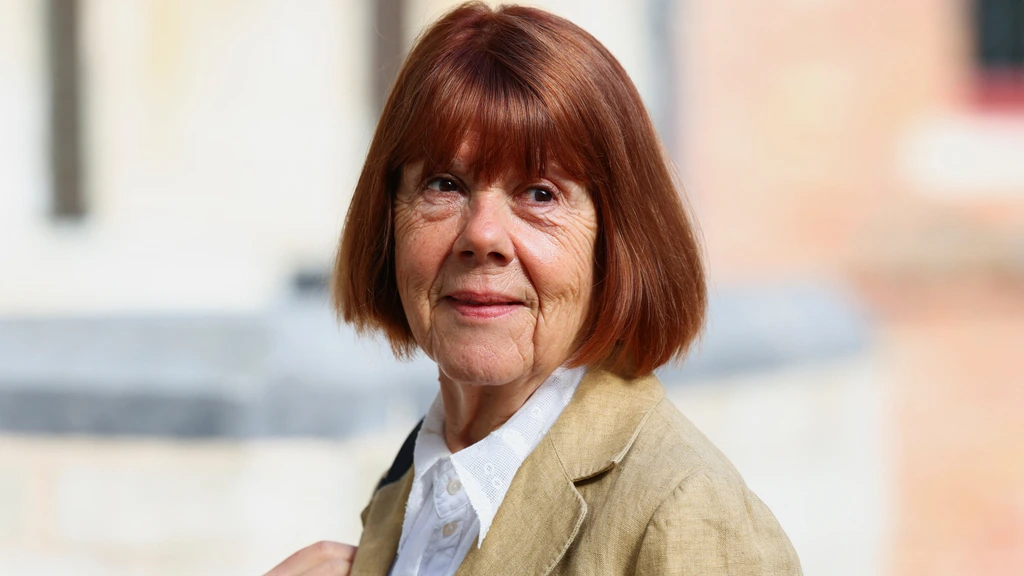 Foto: Website waarmee ex-man Pelicot mannen ronselde weer online