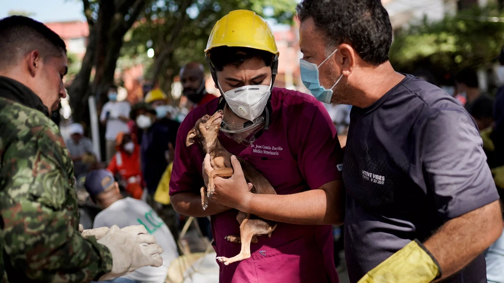 Dodental aardbeving Colombia loopt op naar 224, nog meer dan 3000 vermisten Dodental aardbeving Colombia loopt op naar 224, nog meer dan 3000 vermisten