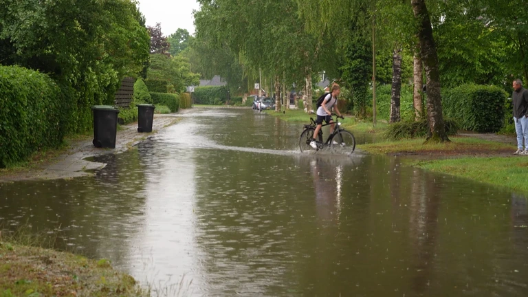 NOS Nieuws - Nieuws, Sport en Evenementen | Nederlandse Omroep Stichting