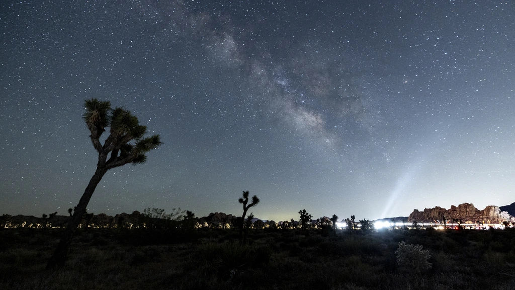 Foto: Groningse astronoom krijgt prijs voor onderzoek naar 'wilde jeugd Melkweg'