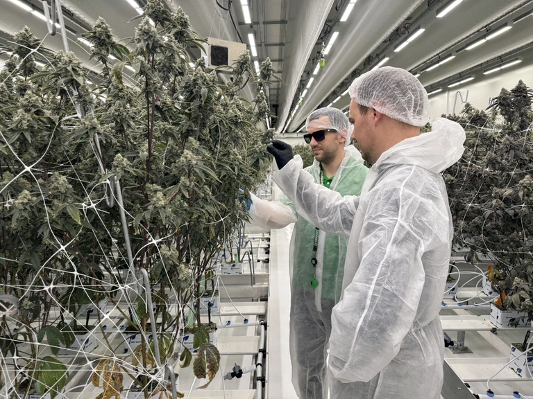 Zorgen in politiek nu tabaksindustrie investeert i