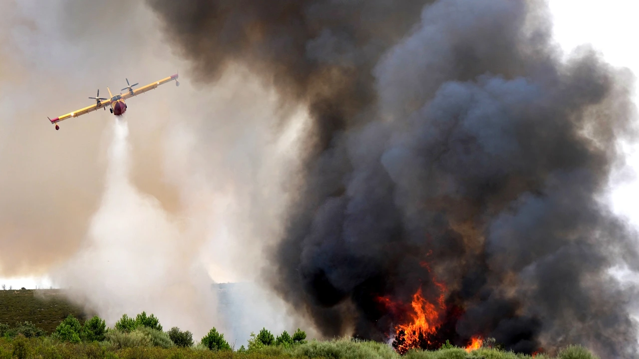 Europees klimaatrapport: heet en droog 2025 leidde tot grote natuurbranden