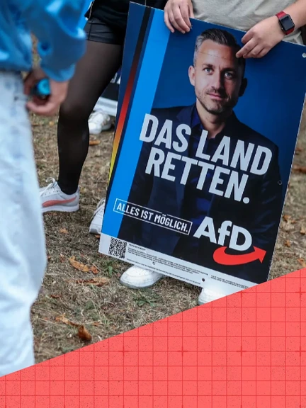 AfD-winst