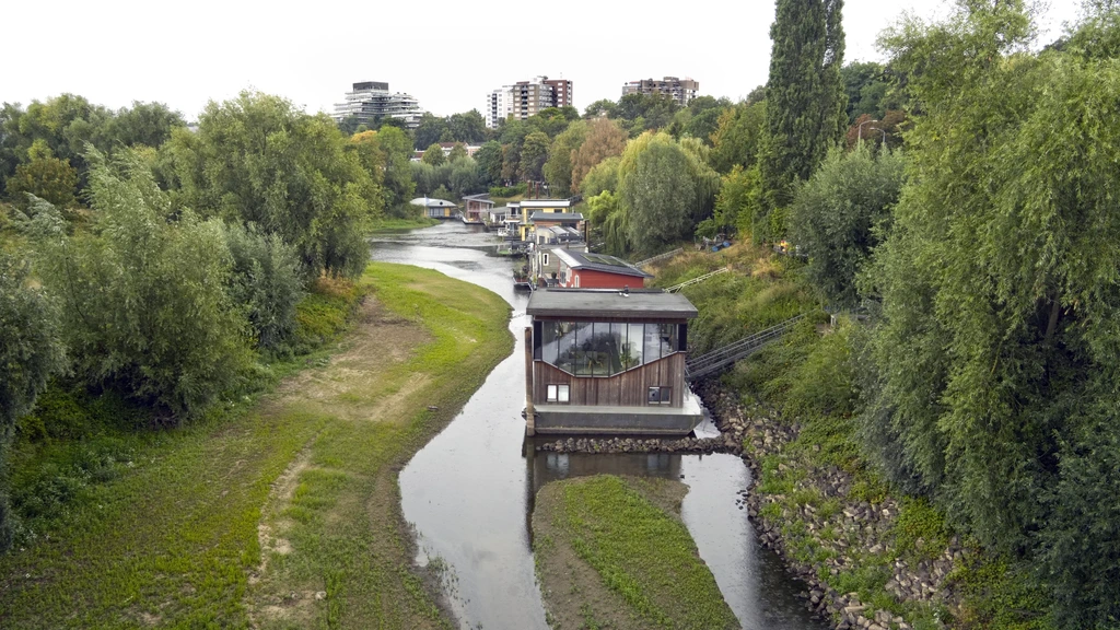 Natuurorganisaties ontevreden over natuurherstelplannen minister Van Essen