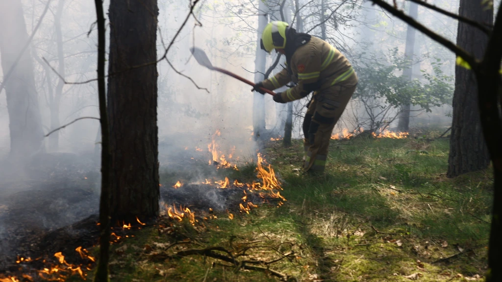 Horen deze branden bij een veranderend klimaat? Vijf vragen over natuurbranden