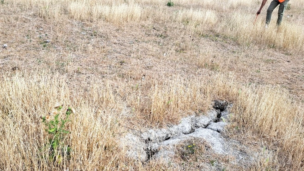 Toenemend aantal scheuren in dijken Zuid-Holland door droogte