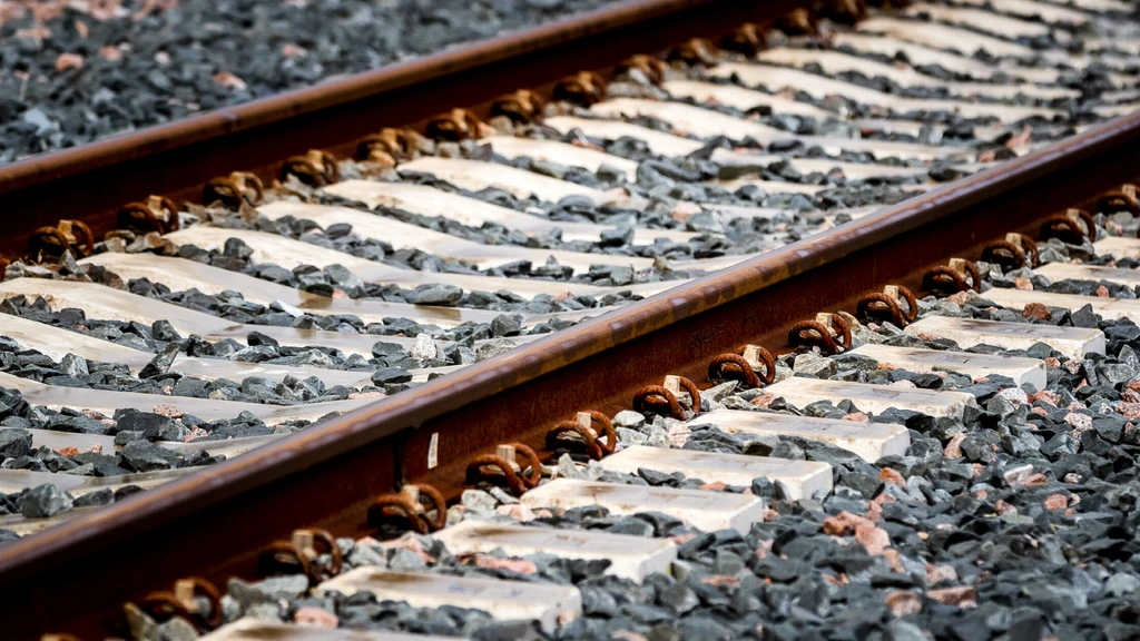 Urenlang geen treinen tussen Utrecht en Den Bosch door defect spoor
