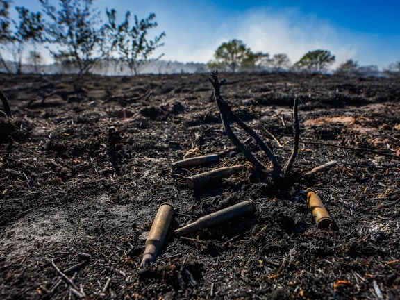 Incendie de Weert maîtrisé, les Pays-Bas sollicitent l'aide européenne pour la première fois — image 6