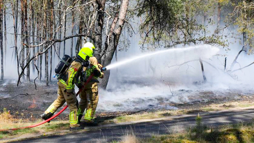 Brand Kootwijk: wat u moet weten
