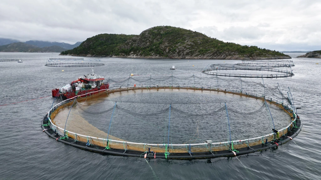 Foto: Grootste zalmproductie ter wereld gaat ten koste van leven in Noorse fjorden