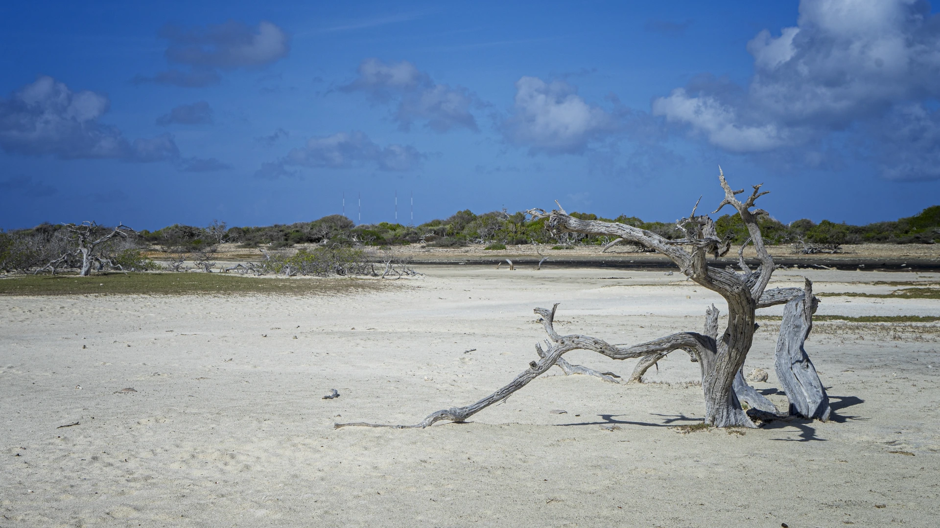 'Nederland moet meer doen tegen gezondheidsrisico’s klimaatverandering, vooral in Cariben'