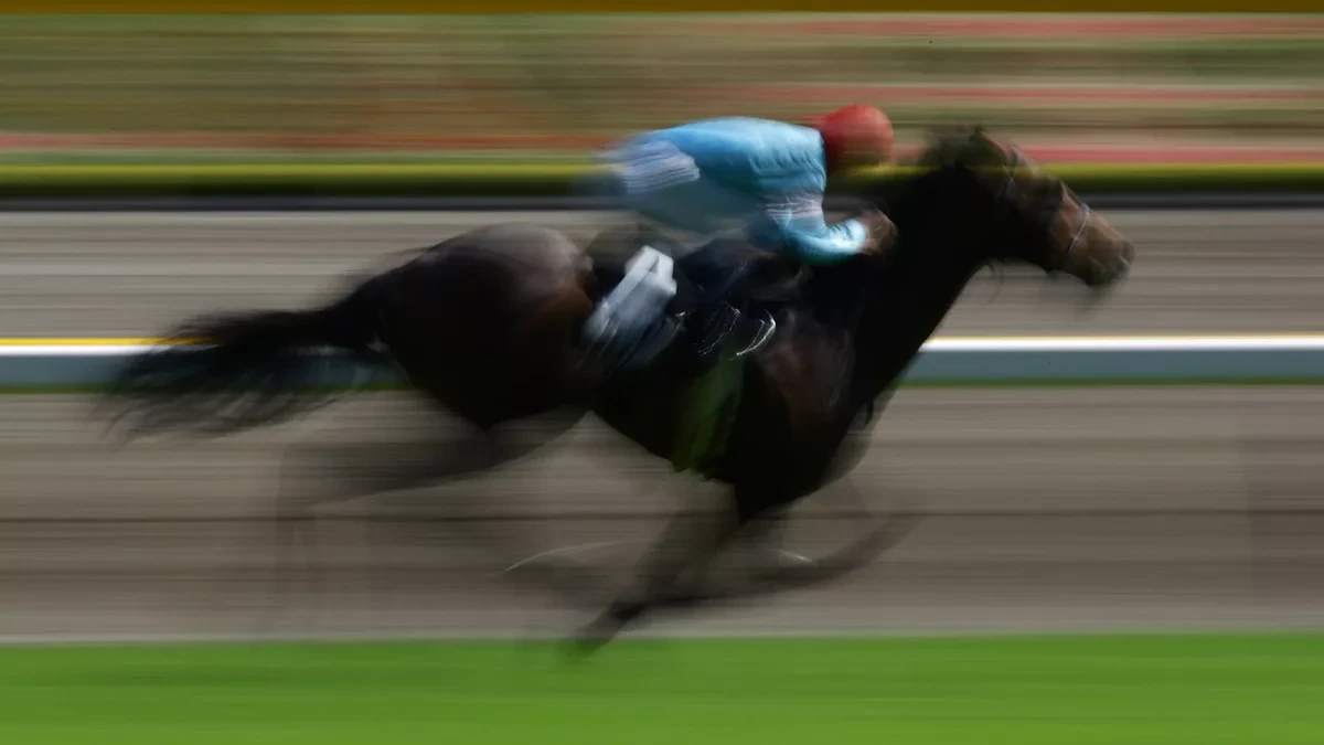 Racepaard met naam die verwijst naar Hitler krijgt nieuwe naam Racepaard met naam die verwijst naar Hitler krijgt nieuwe naam