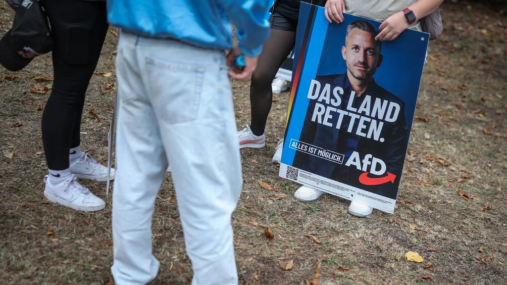 Foto: Radicaalrechtse AfD heeft grootste plannen voor Saksen-Anhalt, zorgen bij scholen