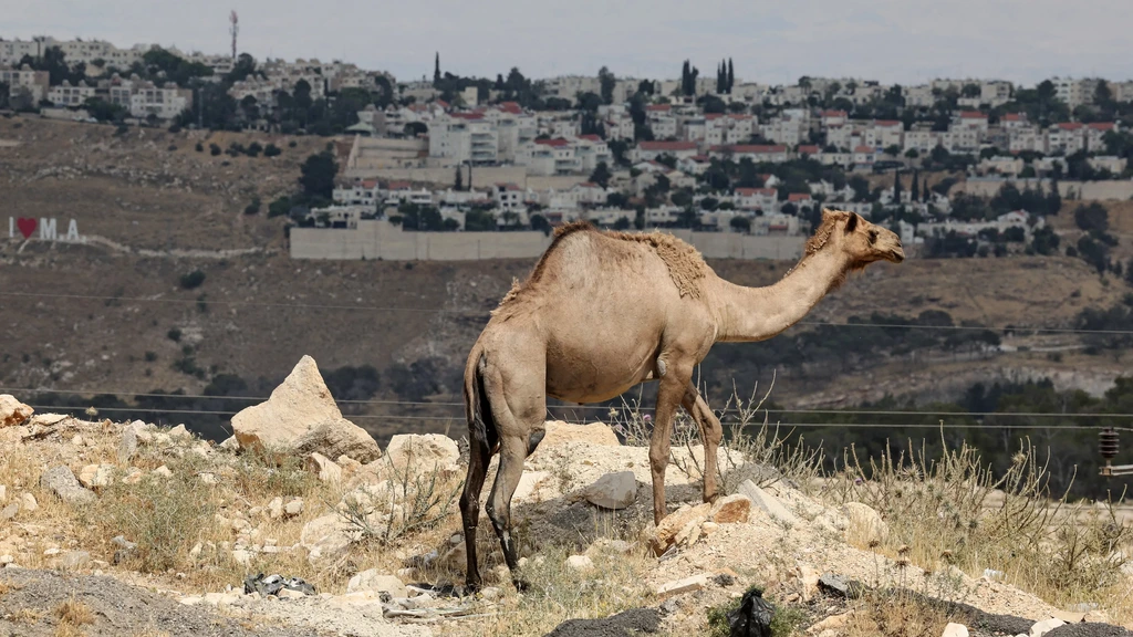 Nederland veroordeelt samen met andere landen Israël om bouwplan op Westoever