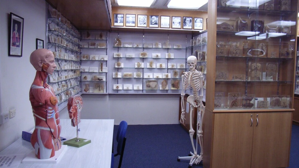 Foto: Tasmanië zegt sorry voor tentoonstellen lichaamsdelen zonder toestemming