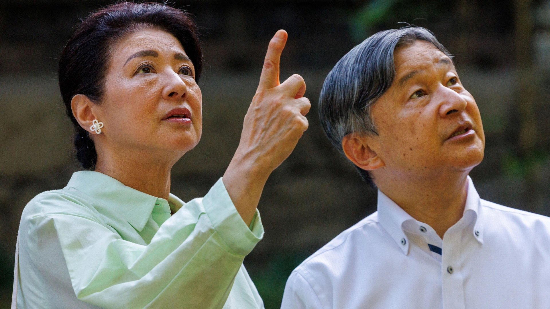 Niet prinsessen maar geadopteerde mannen moeten Japans keizerlijk huis redden