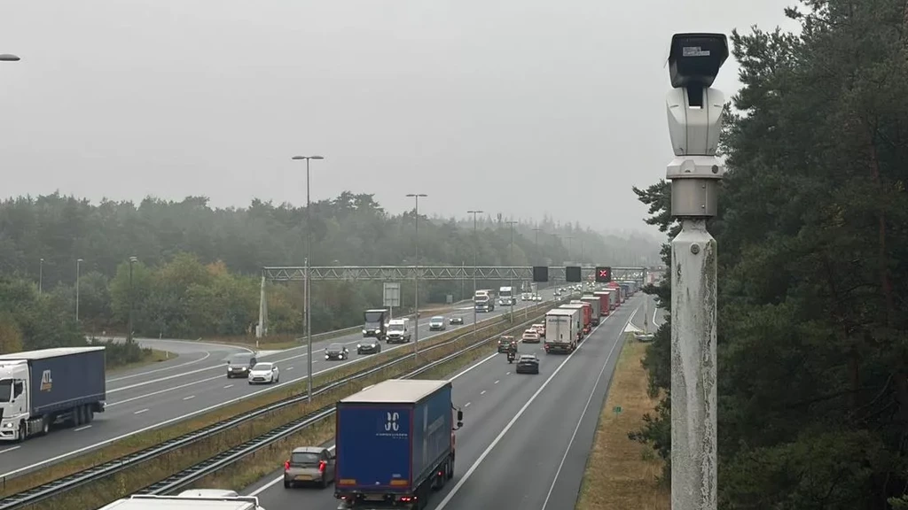 Overhangende takken leiden nog weken tot files op A50: 'Snel snoeien kan niet'