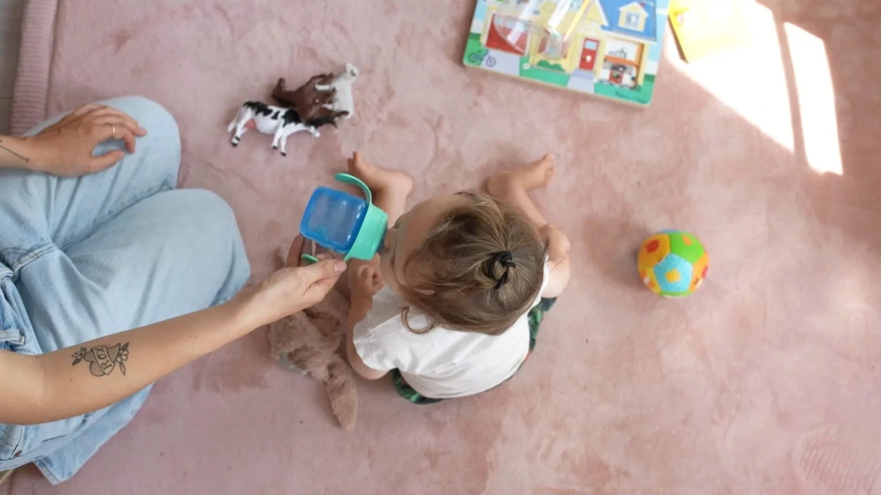 Dutch au-pair agency Nina Care declared bankrupt