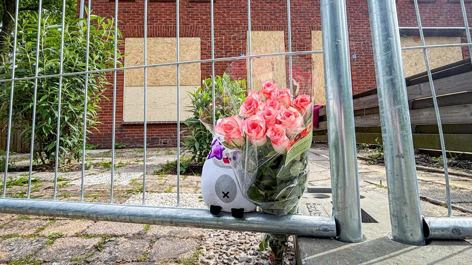 Kindermishandeling door moeders Stadskanaal was planmatig, stellen experts 