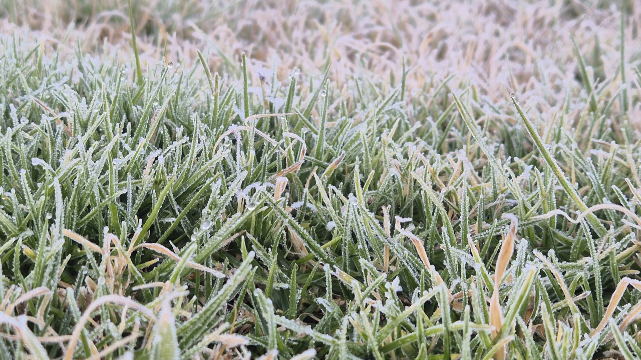 Unieke nachtvorst in zomertijd gemeten in Twente