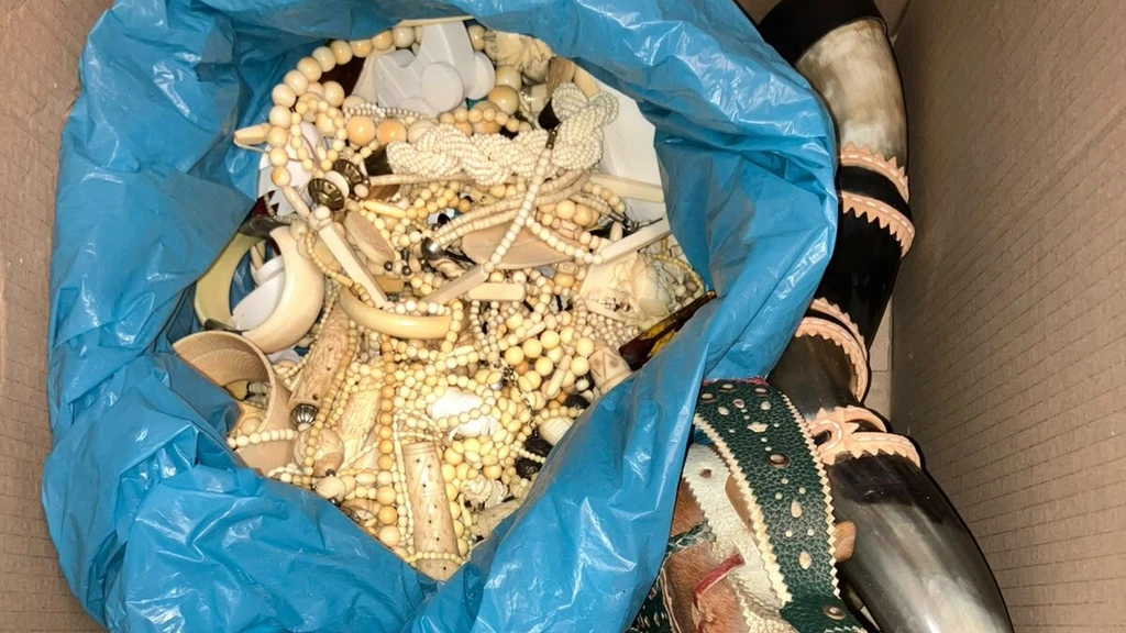 Foto: Verhuisdozen vol ivoren sieraden, 5800 verboden objecten anoniem ingeleverd
