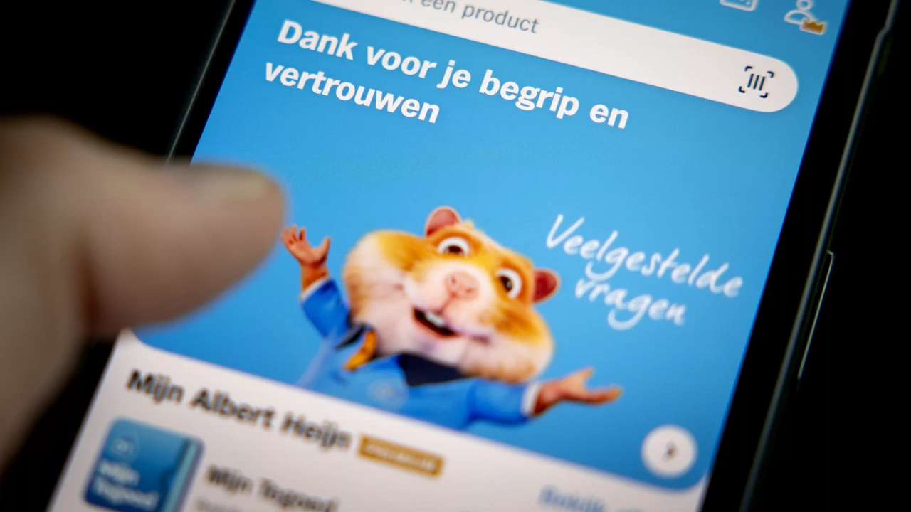 Klanten Albert Heijn kunnen weer boodschappen laten bezorgen Klanten Albert Heijn kunnen weer boodschappen laten bezorgen