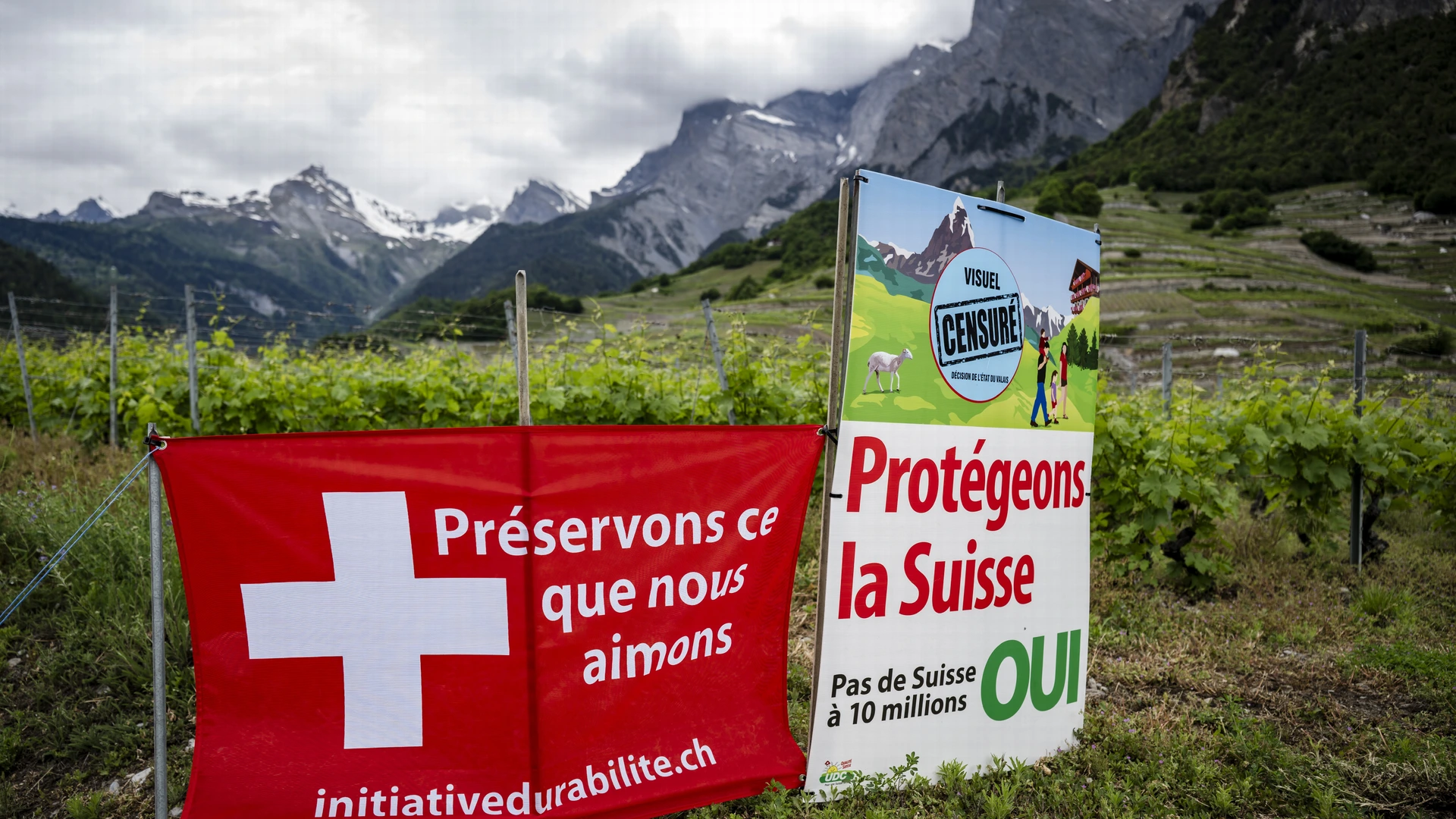 Wordt Zwitserland eerste land met bevolkingsmaximum? Inwoners naar stembus