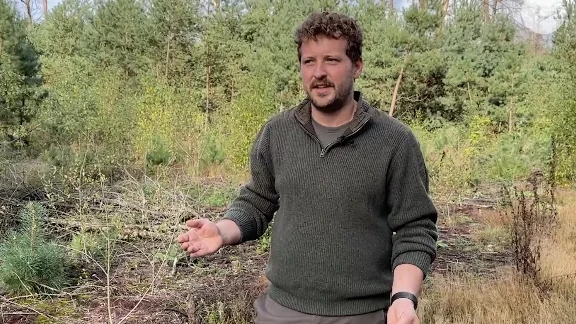 Vers geplante loofbomen moeten natuurbranden op Veluwe afremmen