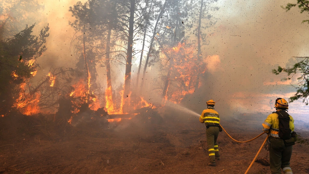 Branden in Spanje eisen leven • Bijna 200.000 mensen geëvacueerd in Frankrijk Branden in Spanje eisen leven • Bijna 200.000 mensen geëvacueerd in Frankrijk