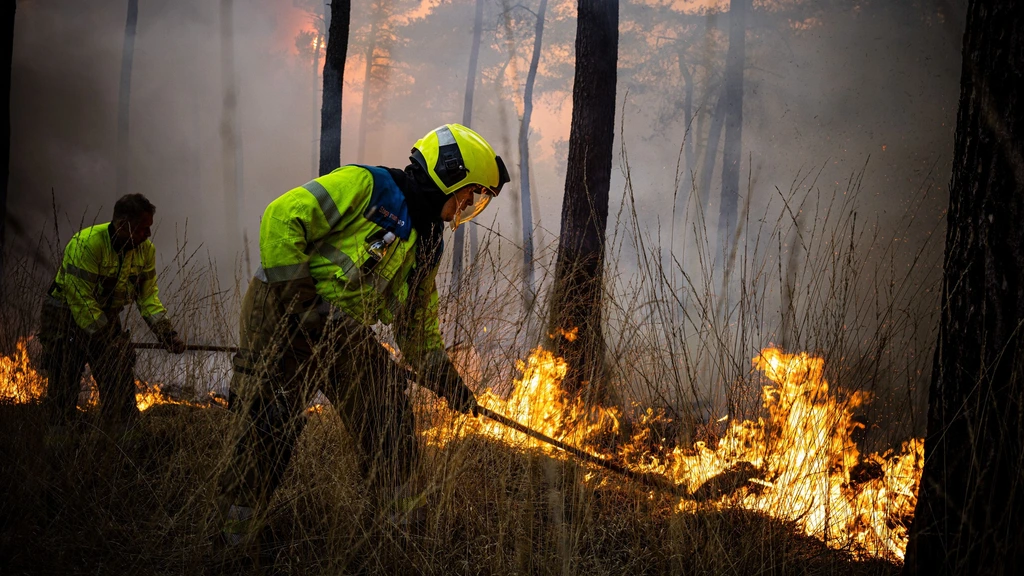 Brandweer hele nacht bezig met natuurbrand Drunen
