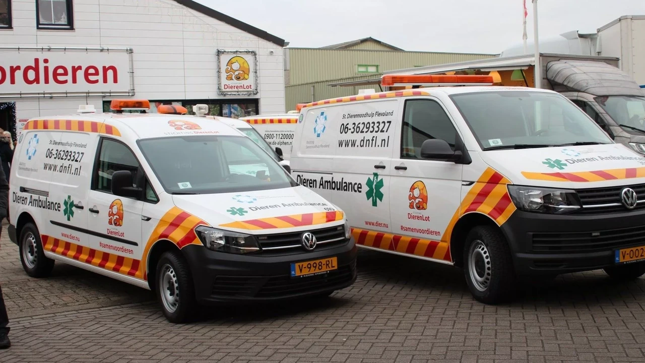 Dierenambulance krijgt onverwachts 50.000 euro uit erfenis: ‘Nooit verwacht’ Dierenambulance krijgt onverwachts 50.000 euro uit erfenis: ‘Nooit verwacht’