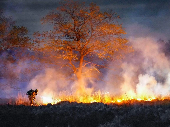 Brand Vandaag : ce qu'il faut savoir — image 6