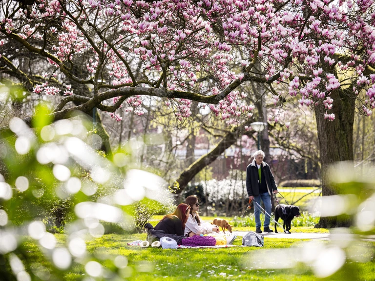 Zonnig voorjaar komt in top vijf van warmste lentes ooit gemeten