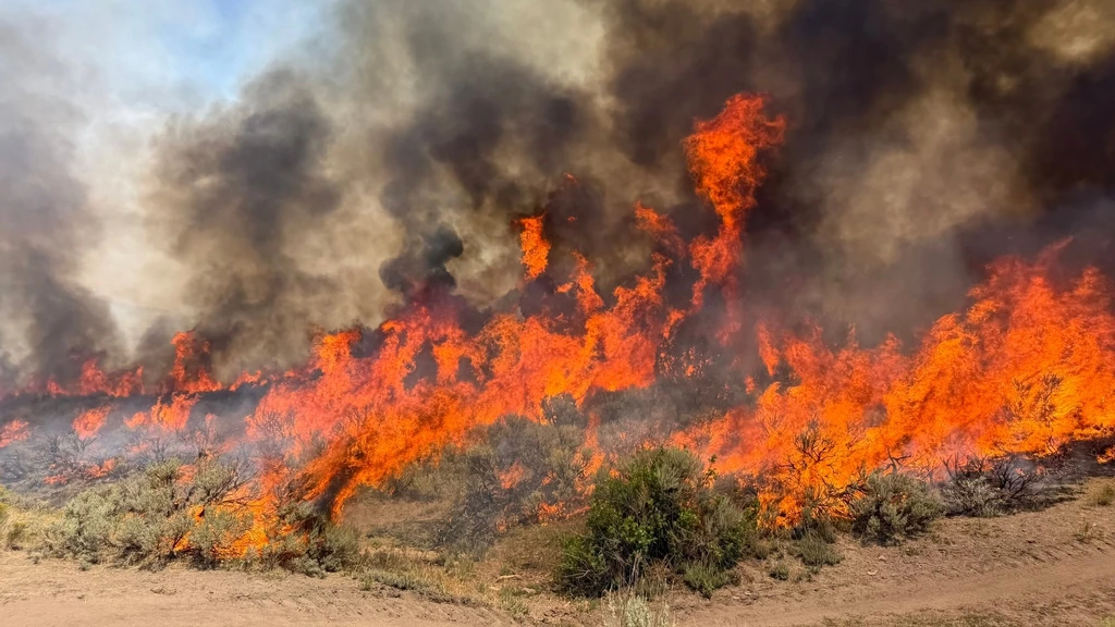 Helikopterpiloten omgekomen bij bestrijden bosbrand in Amerikaanse staat Utah