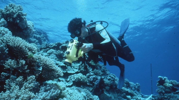 Foto: Australische Great Barrier Reef toch niet op Unesco-lijst bedreigd werelderfgoed
