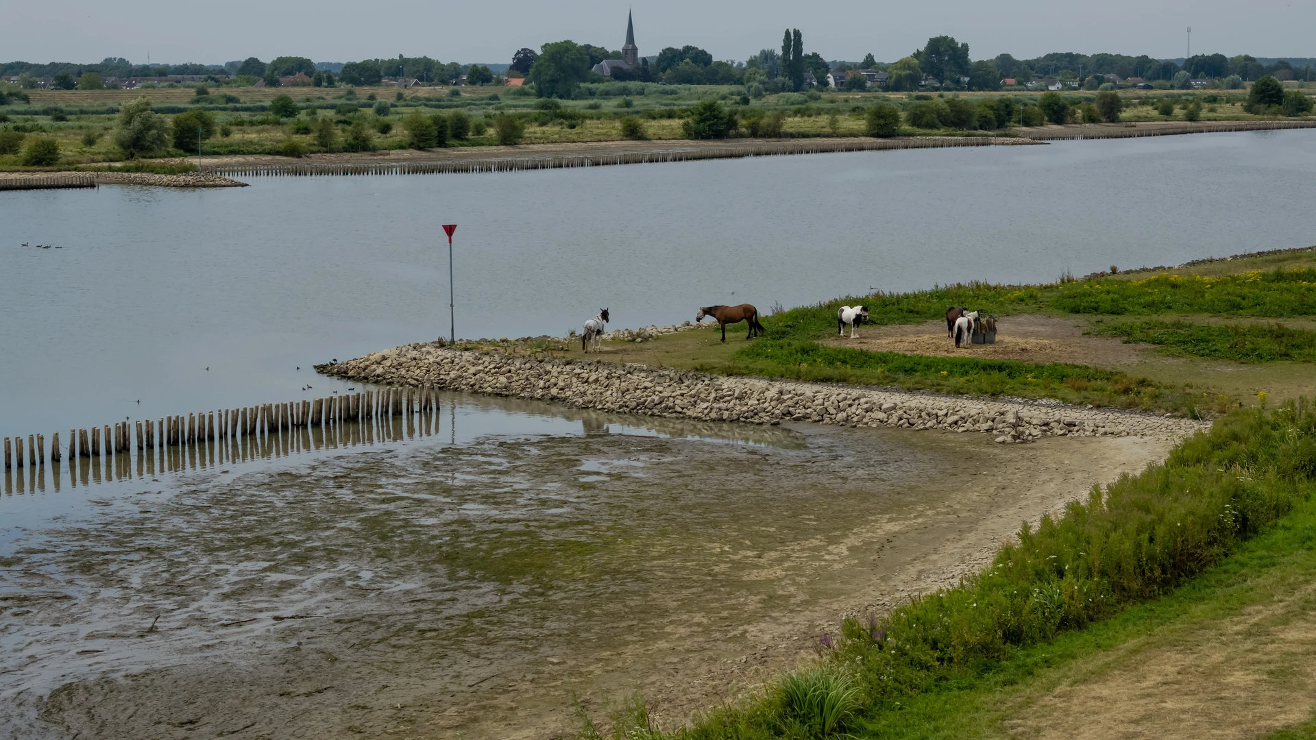 Nederland kampt met watertekort, waterschappen grijpen in: 'Dit is wel heel extreem'
