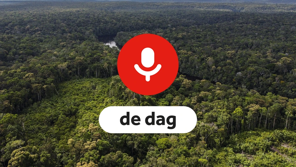 Podcast De Dag: de (vieze) wereld achter CO2-compensatie
