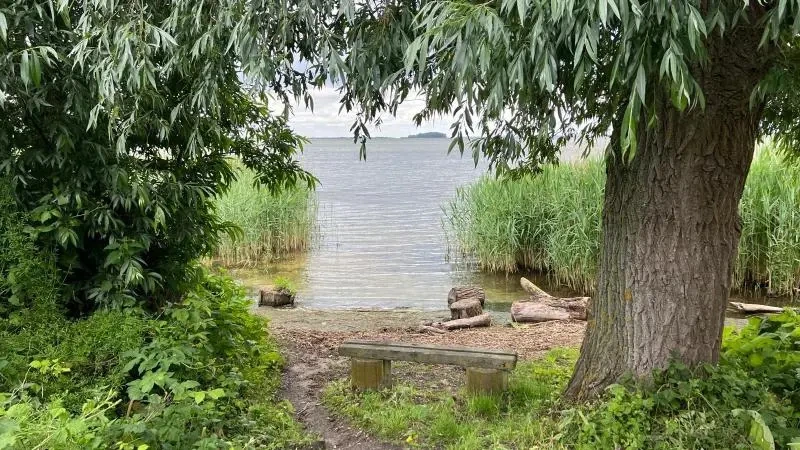 Foto: Zwemverbod in Almere na meldingen van dode en zieke honden 