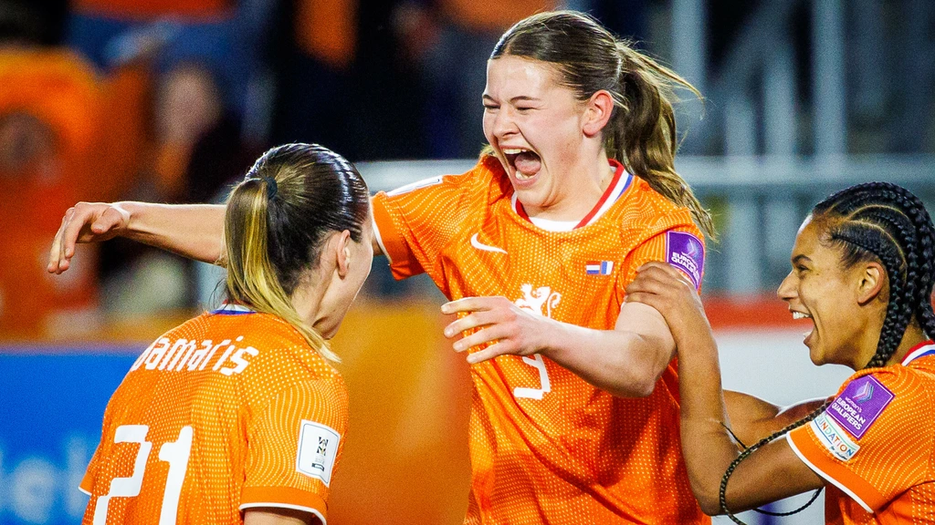 Bekijk de samenvatting van Nederland - Frankrijk