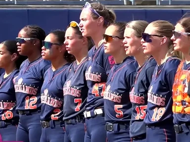 Softbalsters