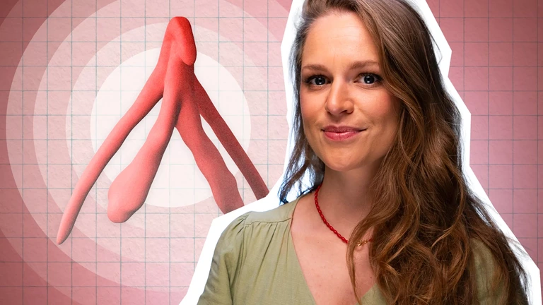 Hoe dit lichaamsdeel zo lang een blinde vlek bleef