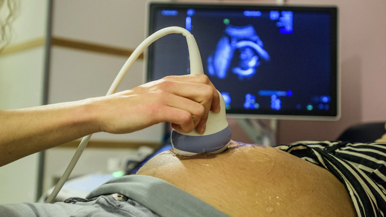 Dutch judges seek changes to proposed surrogacy law