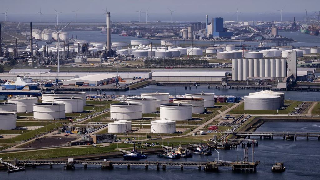 Foto: Konijnen moeten groei in Rotterdamse haven weer mogelijk maken 