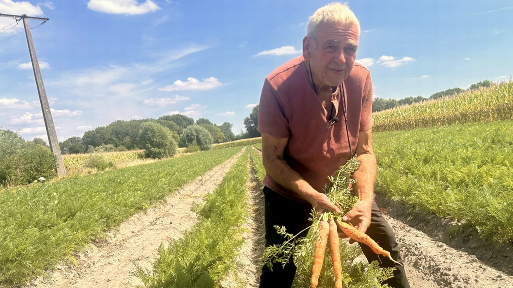 Droogte raakt Franse akkers: 'Hier hadden bieten moeten groeien, maar er is niets'